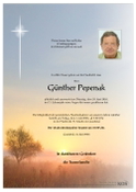 Günther Pepenak